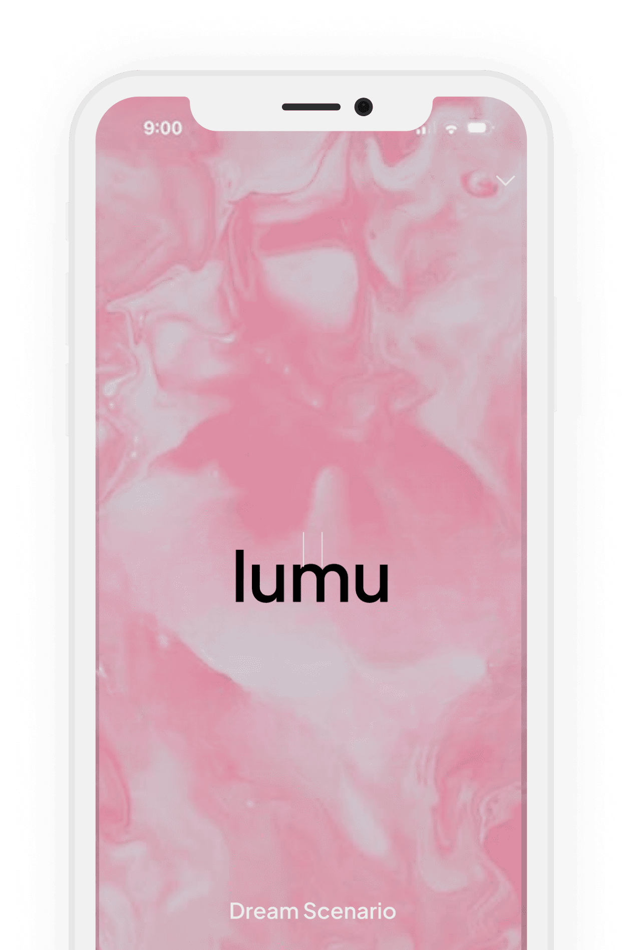 App screenshot 2